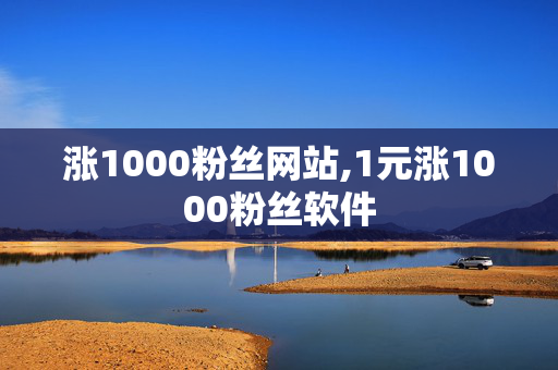 涨1000粉丝网站,1元涨1000粉丝软件