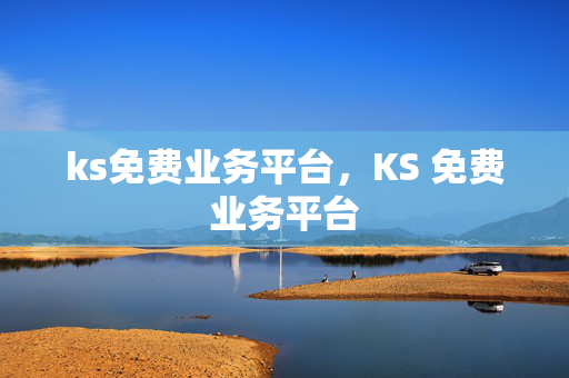 ks免费业务平台，KS 免费业务平台