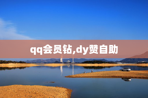 qq会员钻,dy赞自助