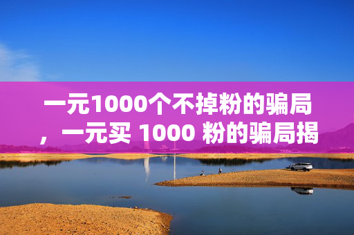 一元1000个不掉粉的骗局，一元买 1000 粉的骗局揭秘