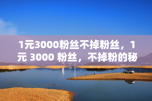 1元3000粉丝不掉粉丝，1 元 3000 粉丝，不掉粉的秘诀，直接点明了关键信息，即 1 元可以获得 3000 粉丝，并且强调了不掉粉丝这一特点，能够吸引读者的注意力，让他们想要了解更多关于如何获得这些粉丝以及保持粉丝不掉的方法。