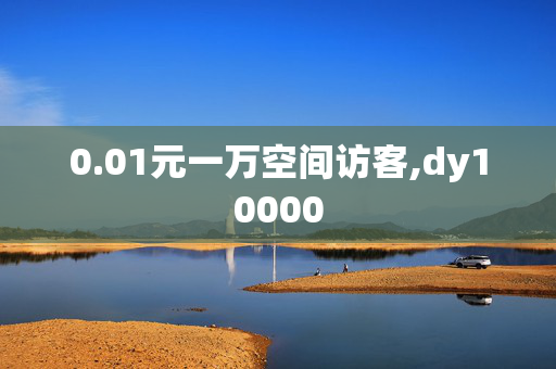 0.01元一万空间访客,dy10000