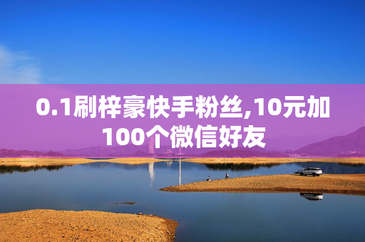 0.1刷梓豪快手粉丝,10元加100个微信好友