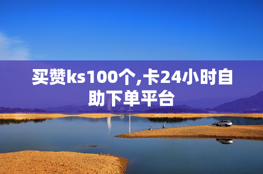 买赞ks100个,卡24小时自助下单平台