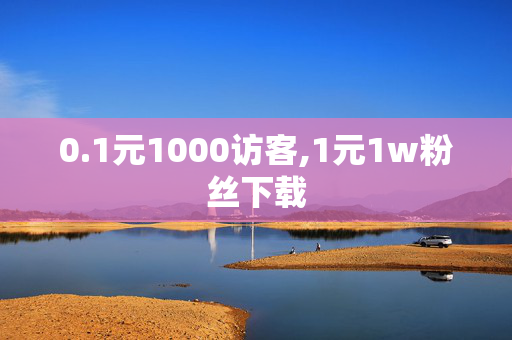 0.1元1000访客,1元1w粉丝下载