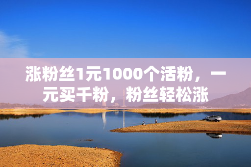 涨粉丝1元1000个活粉，一元买千粉，粉丝轻松涨