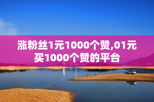 涨粉丝1元1000个赞,01元买1000个赞的平台