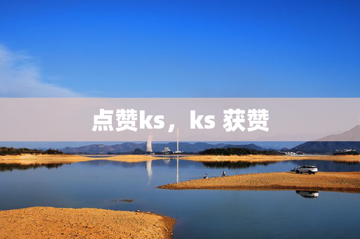 点赞ks，ks 获赞