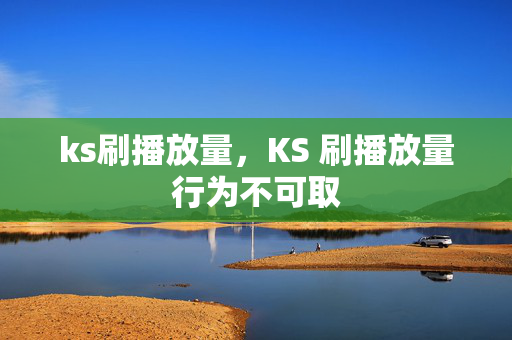 ks刷播放量，KS 刷播放量行为不可取