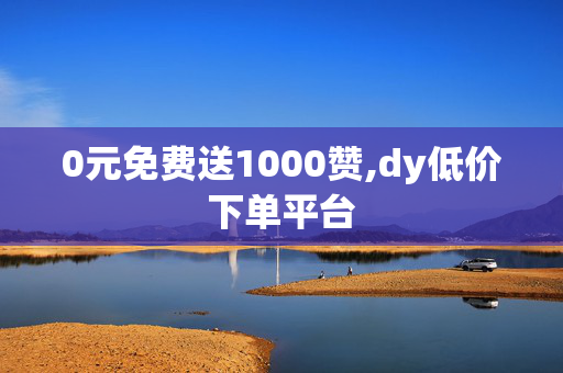 0元免费送1000赞,dy低价下单平台