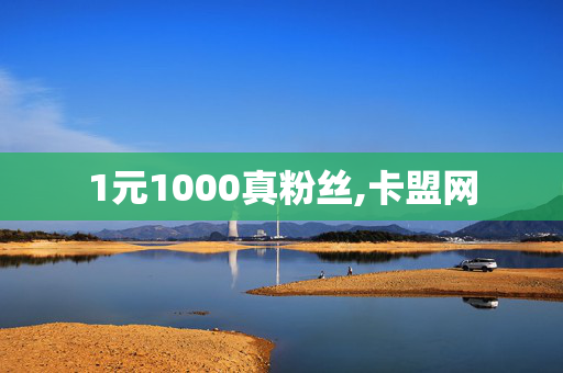 1元1000真粉丝,卡盟网