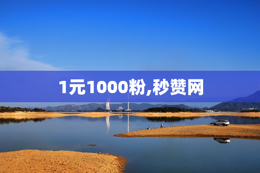 1元1000粉,秒赞网