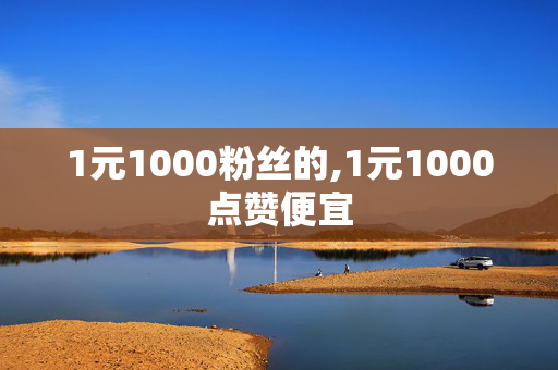 1元1000粉丝的,1元1000点赞便宜