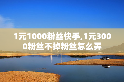 1元1000粉丝快手,1元3000粉丝不掉粉丝怎么弄