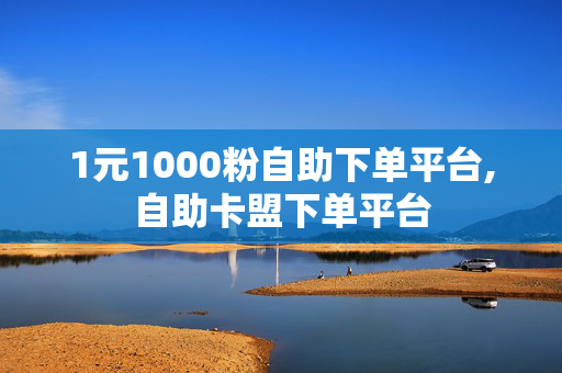 1元1000粉自助下单平台,自助卡盟下单平台