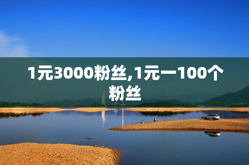 1元3000粉丝,1元一100个粉丝