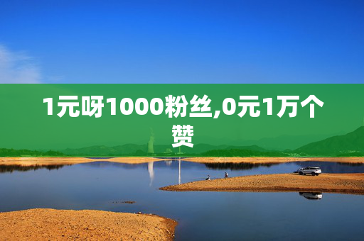 1元呀1000粉丝,0元1万个赞