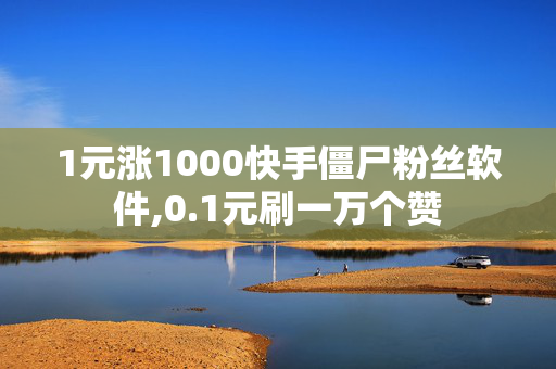 1元涨1000快手僵尸粉丝软件,0.1元刷一万个赞