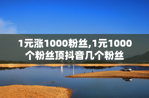 1元涨1000粉丝,1元1000个粉丝顶抖音几个粉丝