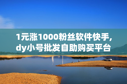 1元涨1000粉丝软件快手,dy小号批发自助购买平台