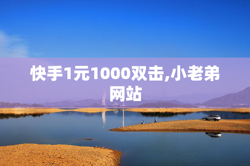 快手1元1000双击,小老弟网站