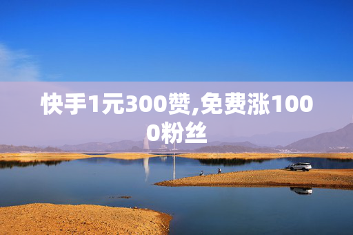 快手1元300赞,免费涨1000粉丝