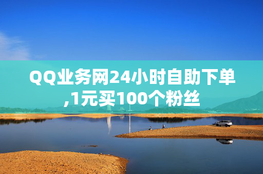 QQ业务网24小时自助下单,1元买100个粉丝