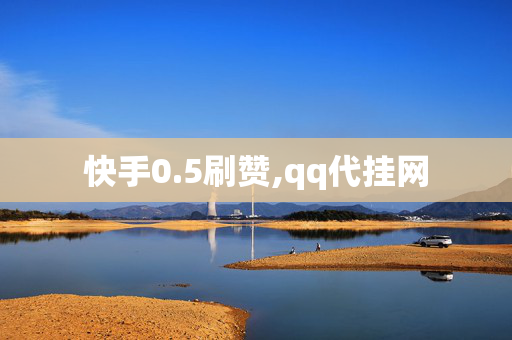 快手0.5刷赞,qq代挂网