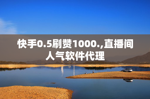 快手0.5刷赞1000.,直播间人气软件代理