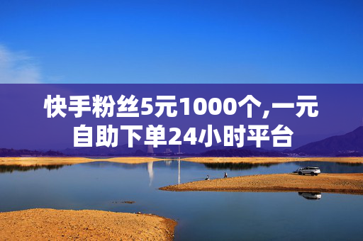 快手粉丝5元1000个,一元自助下单24小时平台