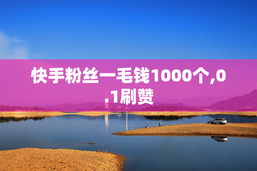 快手粉丝一毛钱1000个,0.1刷赞