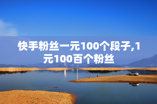 快手粉丝一元100个段子,1元100百个粉丝