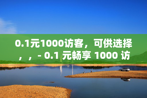 0.1元1000访客，可供选择，，- 0.1 元畅享 1000 访客