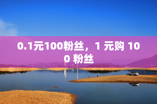 0.1元100粉丝，1 元购 100 粉丝