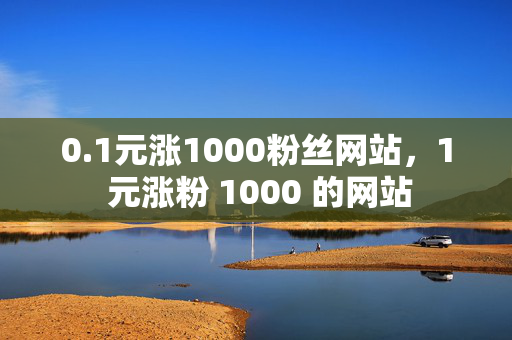 0.1元涨1000粉丝网站，1 元涨粉 1000 的网站