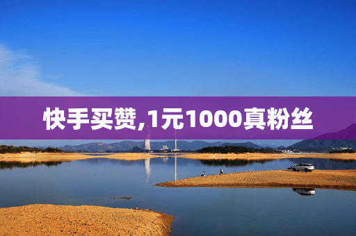 快手买赞,1元1000真粉丝