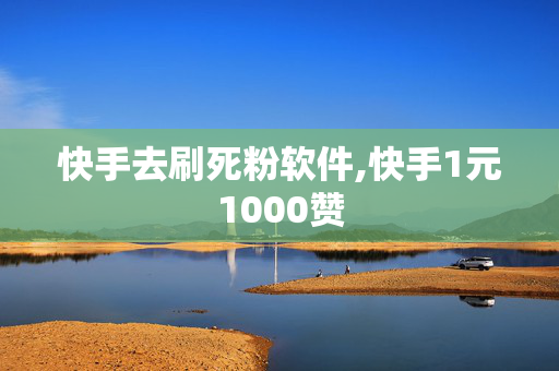 快手去刷死粉软件,快手1元1000赞