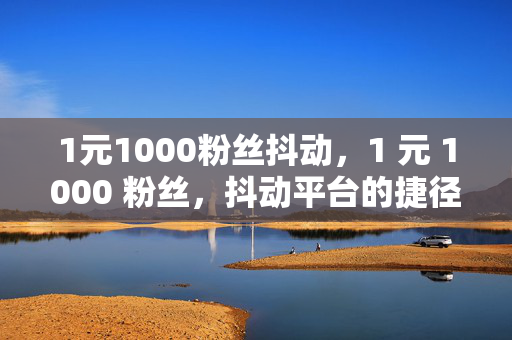 1元1000粉丝抖动，1 元 1000 粉丝，抖动平台的捷径？