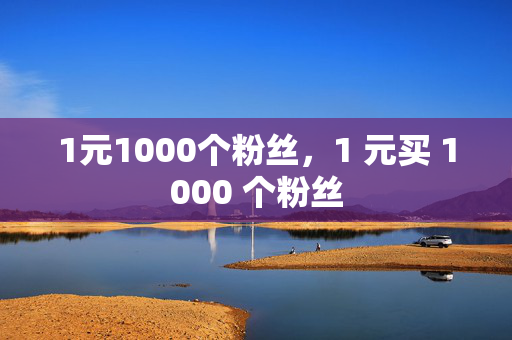 1元1000个粉丝，1 元买 1000 个粉丝