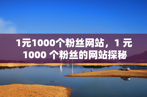 1元1000个粉丝网站，1 元 1000 个粉丝的网站探秘