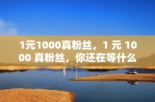 1元1000真粉丝，1 元 1000 真粉丝，你还在等什么？