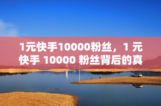 1元快手10000粉丝，1 元快手 10000 粉丝背后的真相