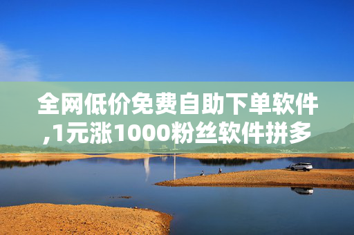 全网低价免费自助下单软件,1元涨1000粉丝软件拼多多