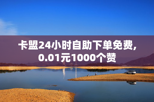 卡盟24小时自助下单免费,0.01元1000个赞