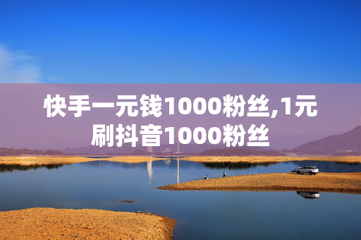 快手一元钱1000粉丝,1元刷抖音1000粉丝