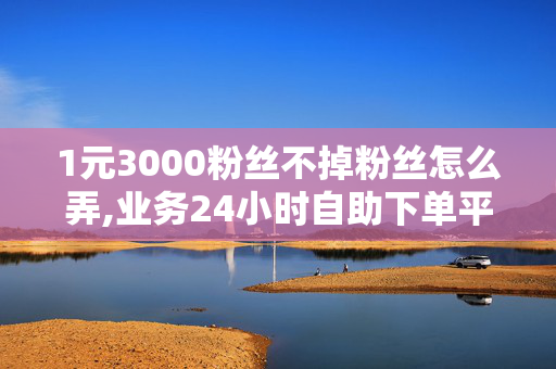 1元3000粉丝不掉粉丝怎么弄,业务24小时自助下单平台便宜