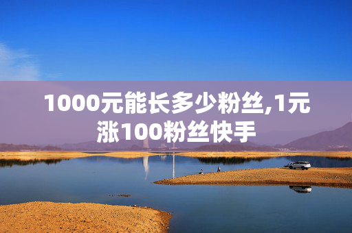 1000元能长多少粉丝,1元涨100粉丝快手