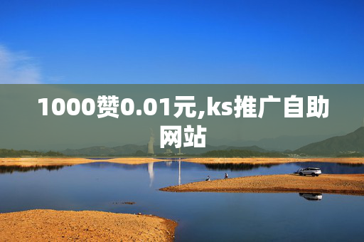 1000赞0.01元,ks推广自助网站