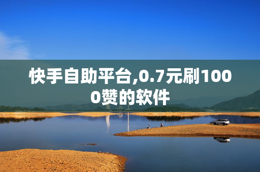 快手自助平台,0.7元刷1000赞的软件