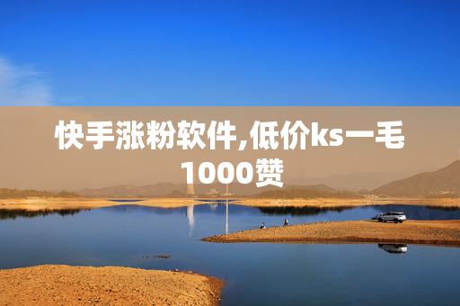 快手涨粉软件,低价ks一毛1000赞